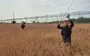 Стало известно о новых отключениях в двух областях