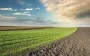 Misappropriation of 18 hectares of land worth over UAH 160 million: preventive measure imposed on private company director