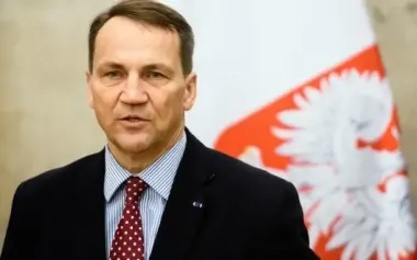 Sikorski backs idea of creating no-fly zone over Ukraine