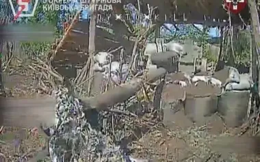 Kramatorsk direction: 5th SAB neutralised enemy artillery and its crew. VIDEO