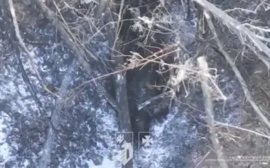 "Burevii" conducts drone strikes on Kupiansk axis, taking out UAV, motorcycle, shelter and five occupiers. VIDEO