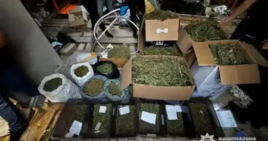 Наркотики в печиві та маслі: на Волині подружжя організувало "солодкий" наркобізнес