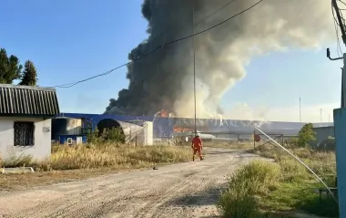 Київська область в диму: де повітря може бути небезпечним для здоров'я