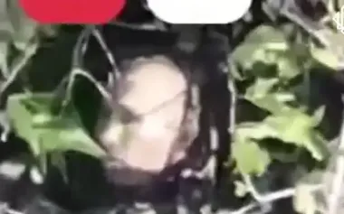 National Guard soldiers eliminated Putin’s double in Pokrovsk direction. VIDEO