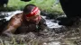 Spartan charity race held in Kyiv in support of GUR