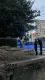 В Ивано-Франковске по улицам прогуливался голый мужчина