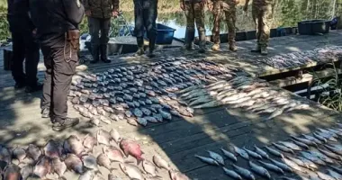 Завдали понад 3 млн грн шкоди природі: на Київщині браконьєри ловили рибу у Чорнобильській зоні