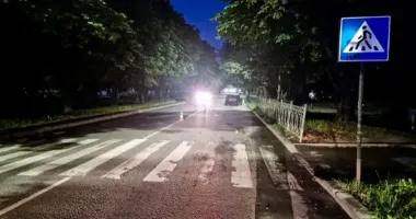 У Рівному водій BMW на пішохідному переході смертельно травмував жінку з собакою