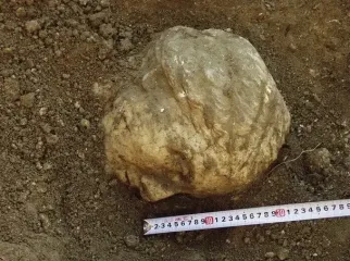 20-летняя загадка мраморной головы из Крыма раскрыта: ученые назвали, кого она изображает (фото)