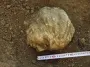 20-летняя загадка мраморной головы из Крыма раскрыта: ученые назвали, кого она изображает (фото)