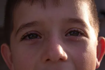Russia has created hundreds of institutions for the "re-education" of kidnapped Ukrainian children