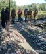 Рыбалка в Чернобыльской зоне: полиция изъяла 200 кг радиационной рыбы