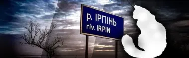 В Ирпене возле магазина жестоко задушили кота Бегемота: подробности громкого скандала