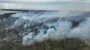 На острове Хортица в Запорожье бушует масштабный пожар