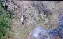 92nd SAB wipes out occupiers on Pokrovsk axis. VIDEO