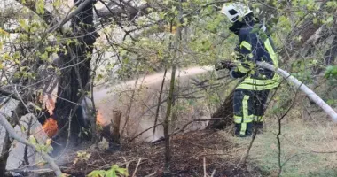 Поблизу Запоріжжя вирує масштабна пожежа
