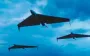Russian troops attacked Cherkasy region with drones: critical infrastructure affected