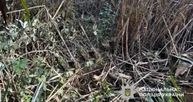 На Полтавщине в водоеме нашли тело мужчины
