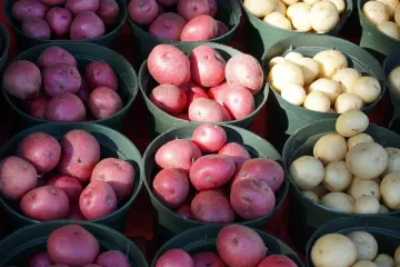Урожай картофеля в Украине увеличивается: как это повлияло на цены на овощ