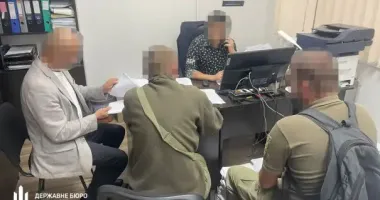 ДБР викрило зловживання в лісовій галузі: збитки – понад 700 млн грн