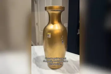 Женщина за бесценок купила на барахолке вазу, которая оказалась артефактом китайской династии (видео)