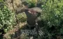 3rd Army Corps clears enemy positions: ’One killed, other captured’. VIDEO