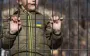 Международный реестр убытков добавил две новые категории заявок