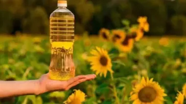 Продукт №1 на кухне станет деликатесом: сколько будет стоить олия осенью
