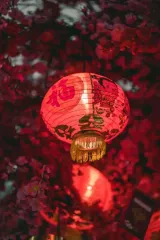 6 китайских знаков зодиака, которые 18 сентября получат удачу и любовь