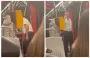 Напад водія трамвая на українців з дитиною Чехії: історія отримала продовження