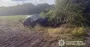 На Полтавщине легковушка вылетела с дороги и врезалась в дерево: есть пострадавший