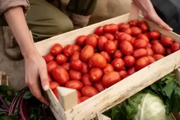 Домашні помідори не гнитимуть, будуть свіжими та смачними до 4 місяців: ось як правильно зберігати