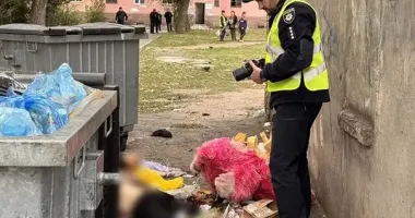 У Запоріжжі під час конфлікту чоловік убив товариша та сховав тіло біля сміттєвих баків