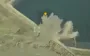 Ukrainian MiG-29 crew destroys dam with high-precision French AASM HAMMER aerial bomb. VIDEO