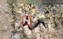 Over 1,300 combat engagements on frontline in past week – General Staff. VIDEO