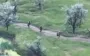 Elimination of 8 occupiers-assault troops in Pokrovsk direction. VIDEO