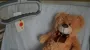 5-летний ребенок умер в больнице: полиция выясняет обстоятельства трагедии