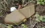 Occupiers are disguising mines as firewood and scattering them along border of Kharkiv region, - CMA. VIDEO