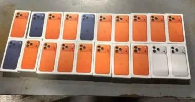 Везли "для себе": закарпатські митники вилучили десятки новеньких iPhone 17 Pro Max
