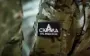 Зеленський анонсував створення штурмових військ
