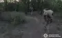 Pulled out from under fire and carried on his shoulders for hour: police officer with call sign Karabin saved life of seriously wounded colleague in Donetsk region. PHOTOS