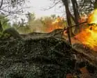 Ukraine war briefing: Shoot down trespassing Russian jets if necessary – Czech president