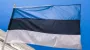 Эстония заявляет, что была готова сбивать российские МиГи