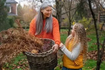 Какие работы нельзя проводить в саду осенью: потратите время зря и навредите растениям