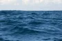 Ученые раскрыли тайну жутких звуков на дне Тихого океана