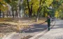 Почти летняя жара: синоптики дали прогноз погоды на сегодня