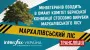 Interfax-Ukraine to host press conference 'Ministry of Veterans Affairs misleading Bern Convention Committee on Markhalivka forest clearance for military cemetery'