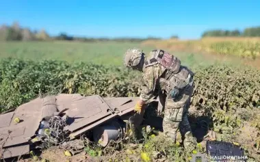 Sappers neutralised warheads of Shahed shot down in Chernihiv region. PHOTO