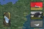 Дроны РФ в Польше: поворотный момент или очередная красная линия — австралийский генерал ответил