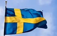 В Швеции пообещали сбивать самолеты РФ над своей территорией